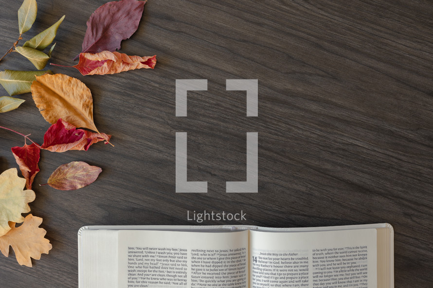 fall leaves and open Bible on a wood background 