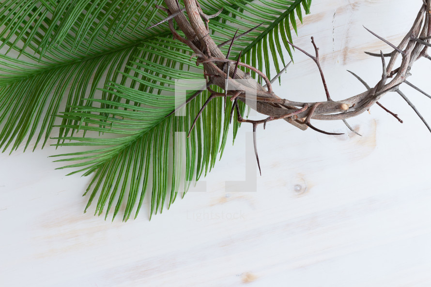 cross, palm fronds, and crown of thorns on a white wood background 