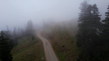 Car on the foggy road in the mountain forest