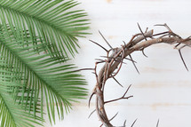 palms and crown of thorns on a white wood background 