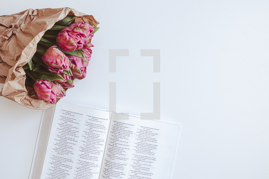 Open bible and bouquet of pink tulips on a white background