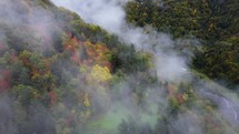 Foggy autumn forest in the mountains