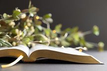 branches, white berries, fairy lights, and open Bible 