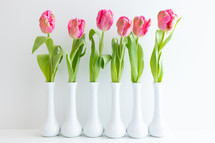 Row of single pink tulips in white vases on a white background with copy space