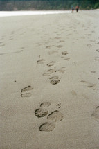 shoe prints in the sand 