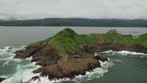 Flock Of Birds Flying Over Rocky Island Costa Rica