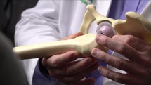Doctor demonstrating with artificial hip model
