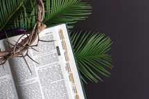 palms, crown of thorns, and pages of an open Bible on a black background 