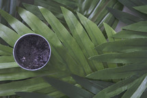 bowl of Ashes and palm fronds 