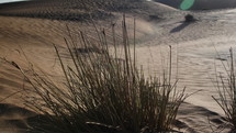 Middle Eastern desert scenery landscape with sand blowing in the wind in cinematic slow motion.