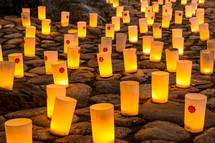 Lit candles on rocks at the Nara Candle Festival.