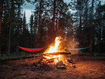 hammocks by a campfire 