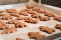 baking Christmas cookies 