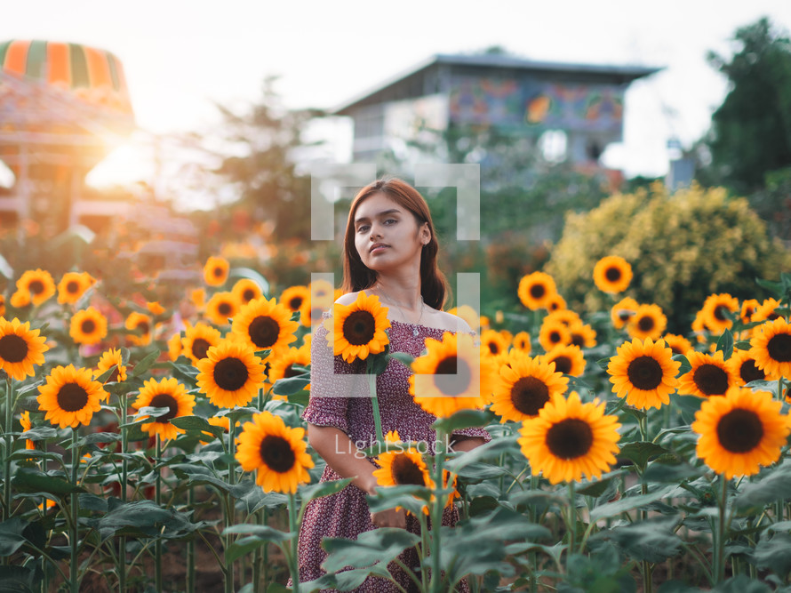 portrait of a teen girl in a field of sunflowers 