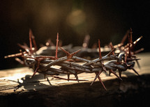 Closeup photograph of a crown of thorns