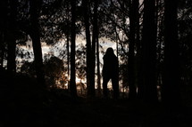 silhouette walking through a forest 