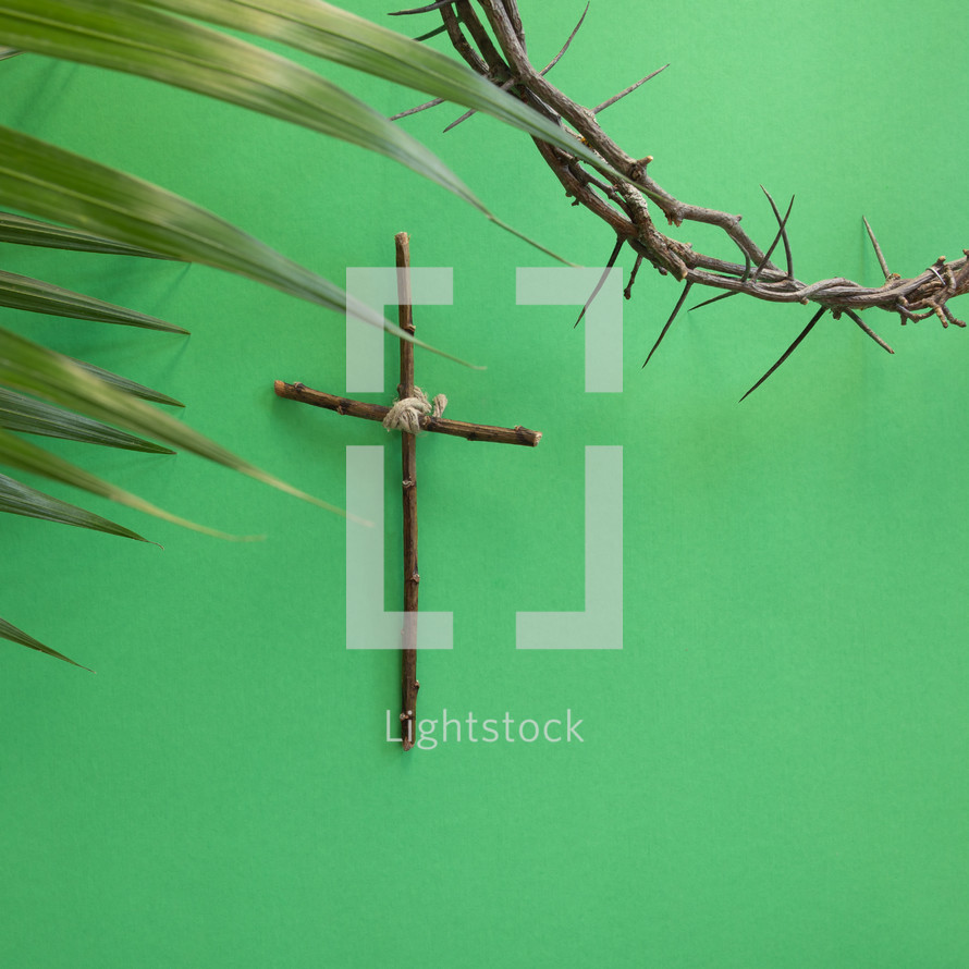 cross on a green background with palm frond and crown of thorns 