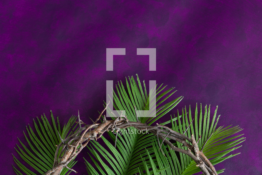 palm fronds and crown of thorns on purple 