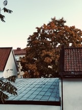 tile roofs and fall trees