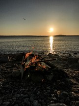 campfire on a beach in Koster Archipelago, Sweden