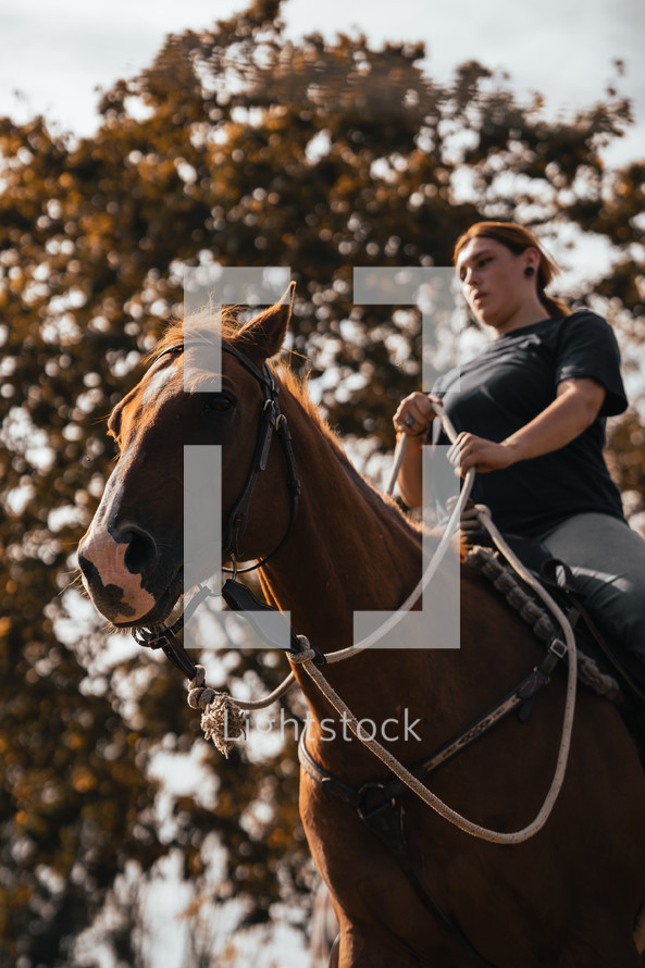 Horse riding woman on a brown stallion, western style saddle horseback rider