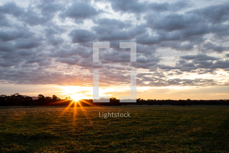 field in a rural setting at sunset 