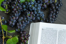 grapes and vine and John 15-1, 2