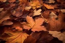 Brown Fall Leaves Background