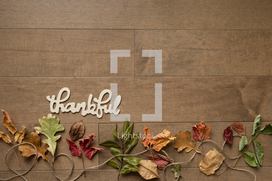 fall leaves and word thankful 