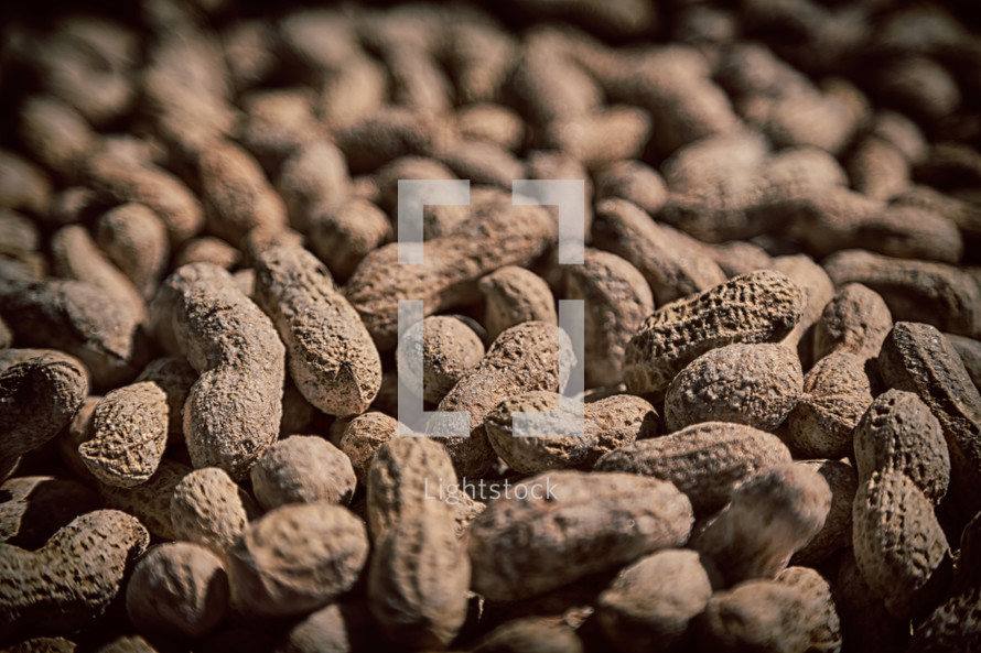 lots of peanuts 