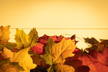 autumn leaf border 