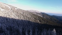 aerial view above a winter forest 