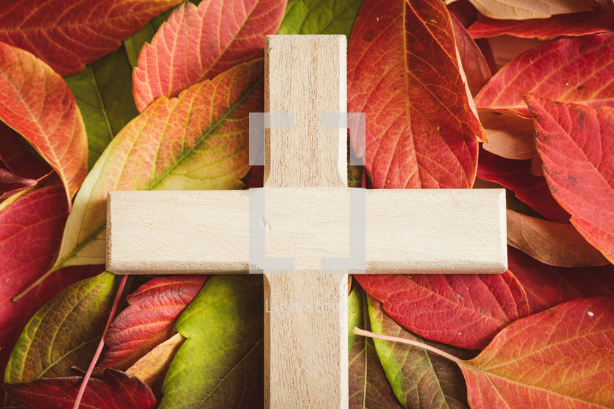 Close up of wood cross on a bed of autumn leaves