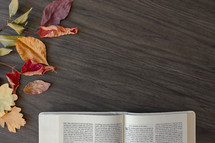 fall leaves and open Bible on a wood background 