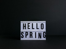 hello spring on black background, no leaves