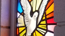 Rack focus of stained glass image of dove
