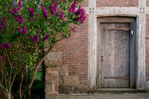 lilac bushes blooming by old door on brick house