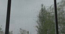 Rain drops, droplets on glass window with visible, blurred trees outside during a storm.