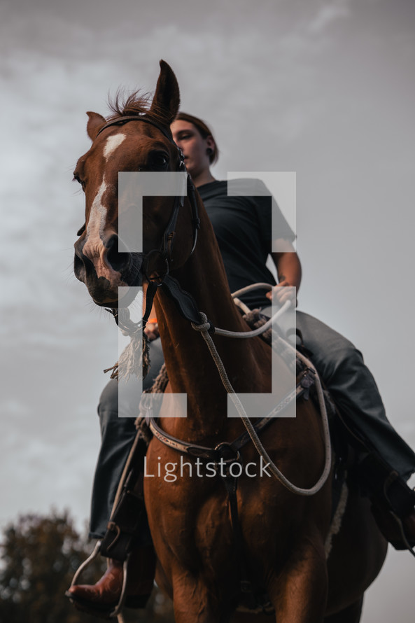 Horse riding woman on a brown stallion, western style saddle horseback rider