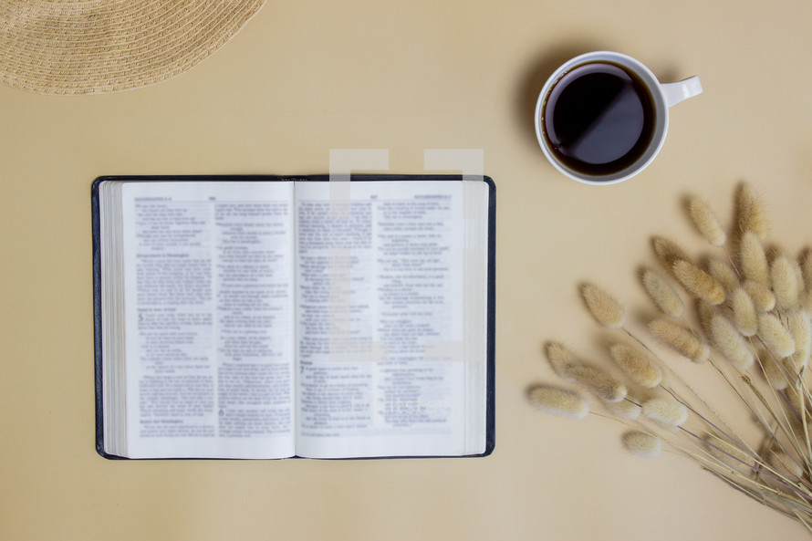 open Bible, fuzzy grasses, and coffee cup 