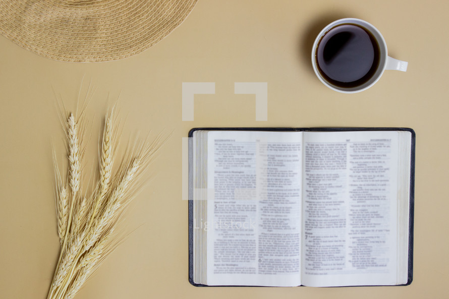 wheat, coffee cup, open Bible 
