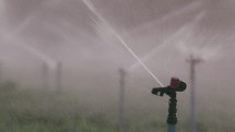 Slow motion of many impact sprinklers irrigating a field during sunset