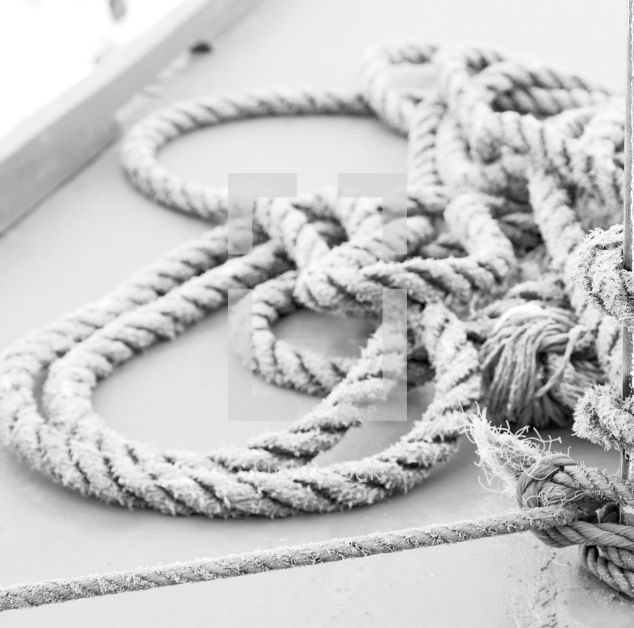 rope on a dock 