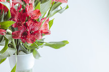 Bouquet of red flowers in a glass vase with a white background