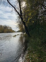river and forest in fall 