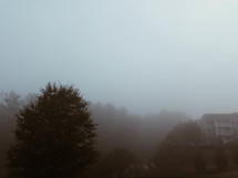 fog over trees and an apartment complex 