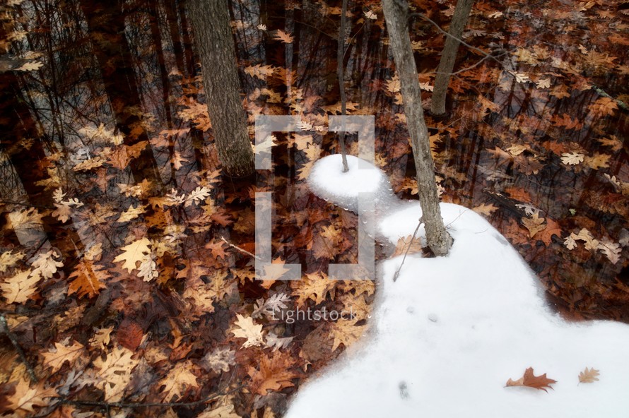 melting snow in an autumn forest 