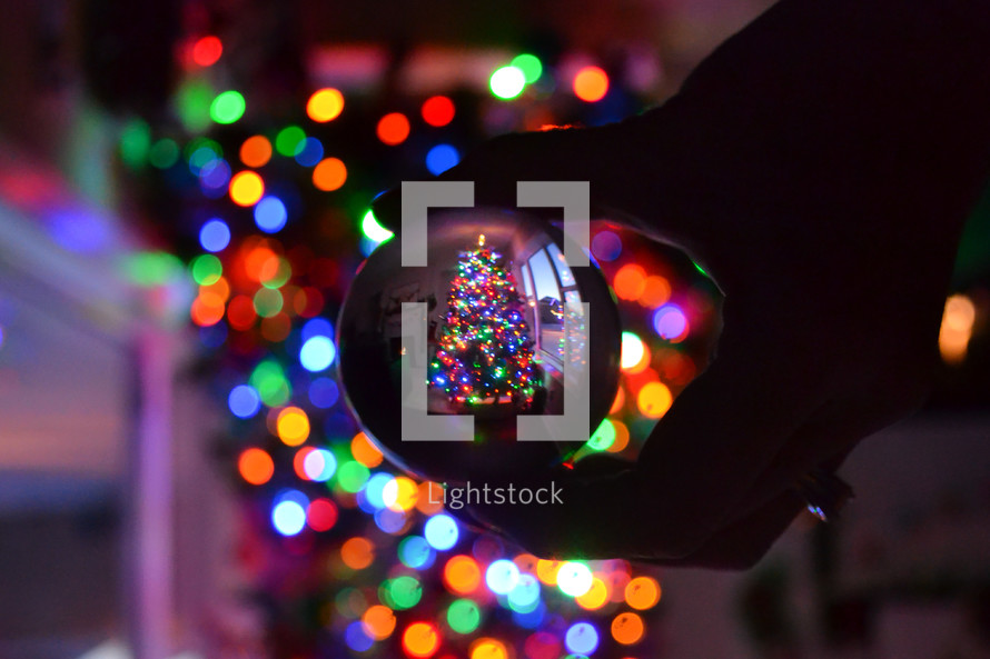 Christmas tree in a glass orb