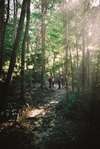 Group of people hiking in the trees