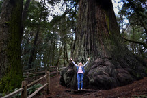 a woman standing next to a redwood tree